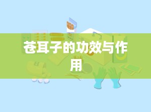 苍耳子的功效与作用