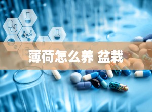 薄荷怎么养 盆栽