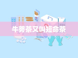 牛蒡茶又叫短命茶
