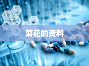 菊花的资料
