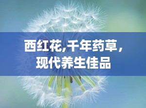 西红花,千年药草，现代养生佳品