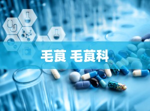 毛莨 毛莨科