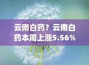 云南白药？云南白药本周上涨5.56%