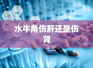 水牛角伤肝还是伤肾