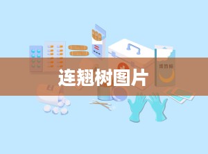 连翘树图片