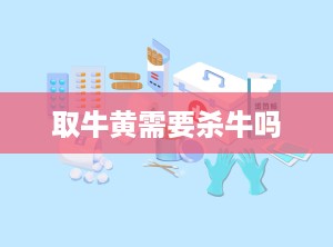 取牛黄需要杀牛吗