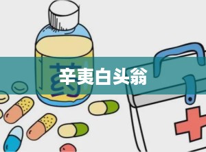 辛夷白头翁