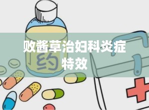 败酱草治妇科炎症特效