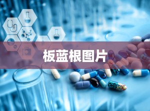 板蓝根图片