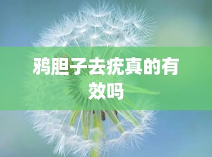 鸦胆子去疣真的有效吗