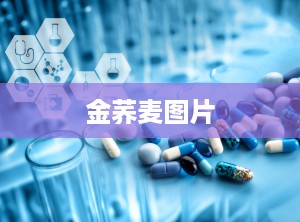 金荞麦图片