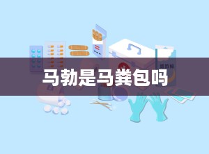 马勃是马粪包吗