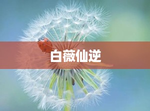 白薇仙逆