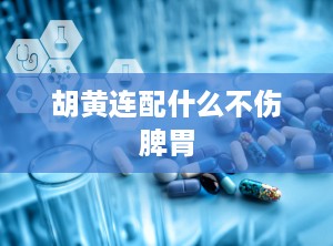 胡黄连配什么不伤脾胃