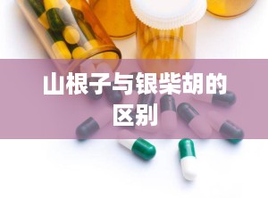 山根子与银柴胡的区别