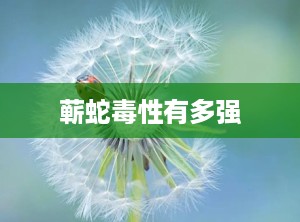 蕲蛇毒性有多强