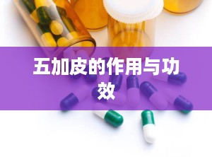 五加皮的作用与功效