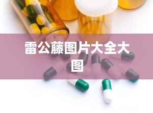 雷公藤图片大全大图