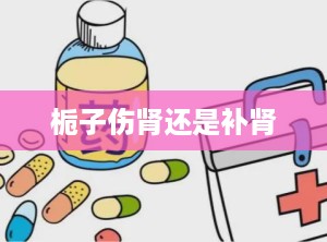 栀子伤肾还是补肾