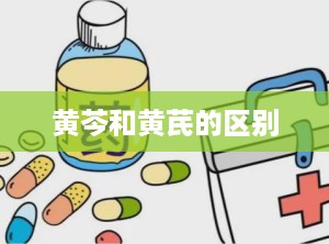 黄芩和黄芪的区别