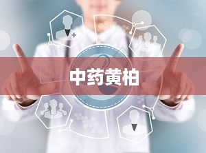 中药黄柏