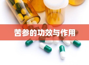 苦参的功效与作用