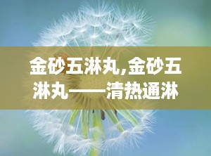 金砂五淋丸,金砂五淋丸——清热通淋的中成药解析