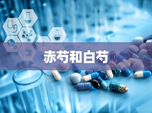 赤芍和白芍