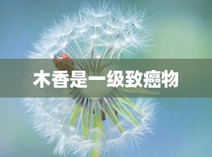 木香是一级致癌物