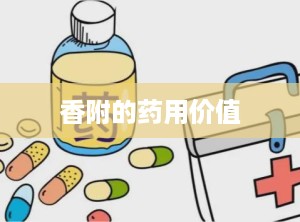 香附的药用价值