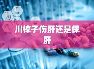 川楝子伤肝还是保肝