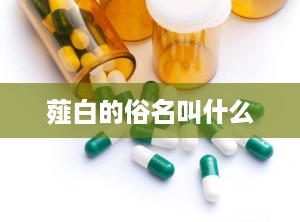 薤白的俗名叫什么