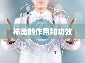 柿蒂的作用和功效