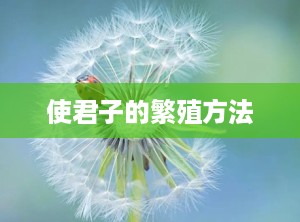 使君子的繁殖方法