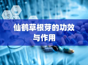 仙鹤草根芽的功效与作用
