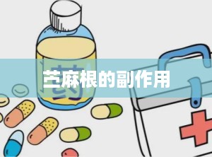 苎麻根的副作用
