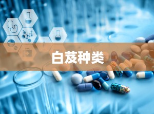 白芨种类