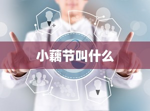 小藕节叫什么