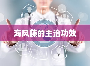 海风藤的主治功效