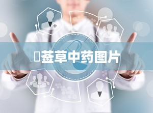 豨莶草中药图片