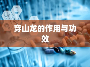 穿山龙的作用与功效