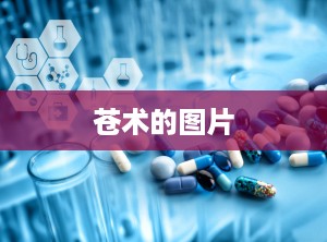 苍术的图片