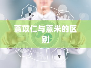 薏苡仁与薏米的区别
