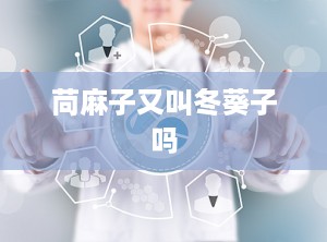 苘麻子又叫冬葵子吗
