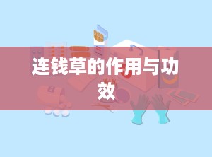 连钱草的作用与功效