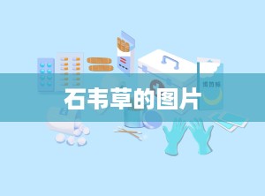 石韦草的图片