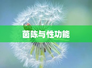 茵陈与性功能