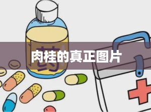 肉桂的真正图片
