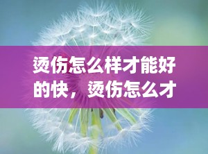 烫伤怎么样才能好的快，烫伤怎么才能好得快
