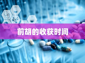 前胡的收获时间